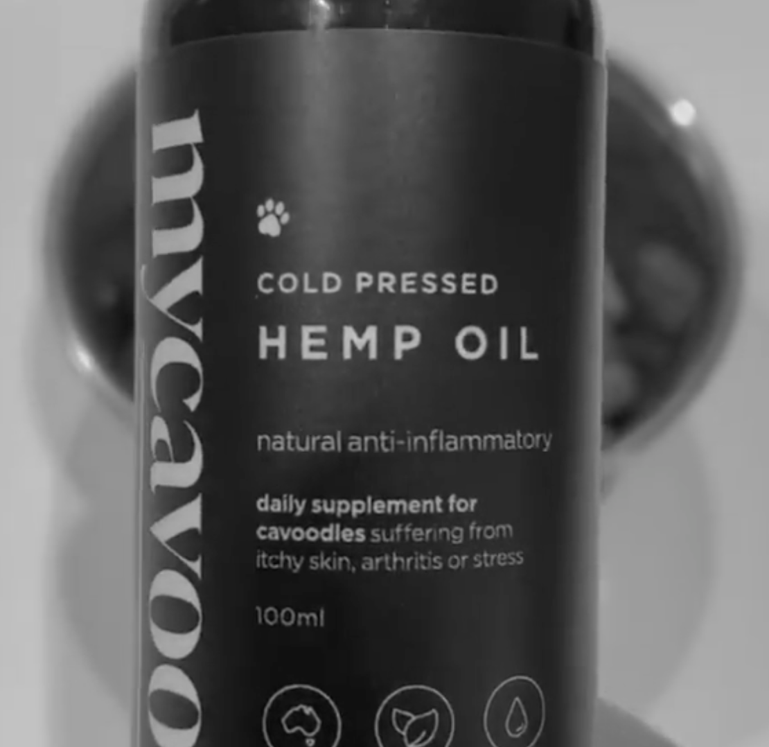 Why is hemp seed oil good for cavoodles?