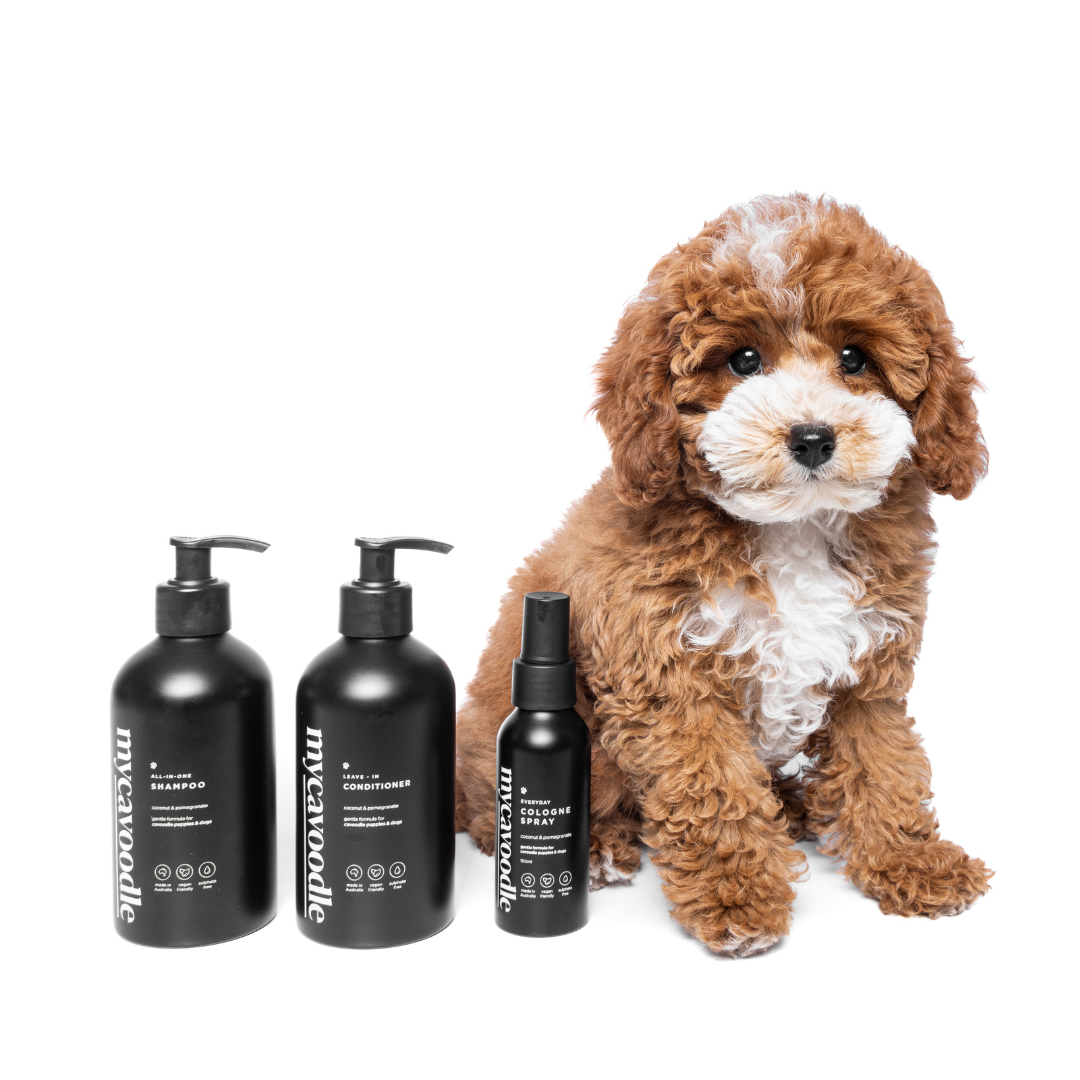 Cavoodle Shampoo, Conditioner & Cologne