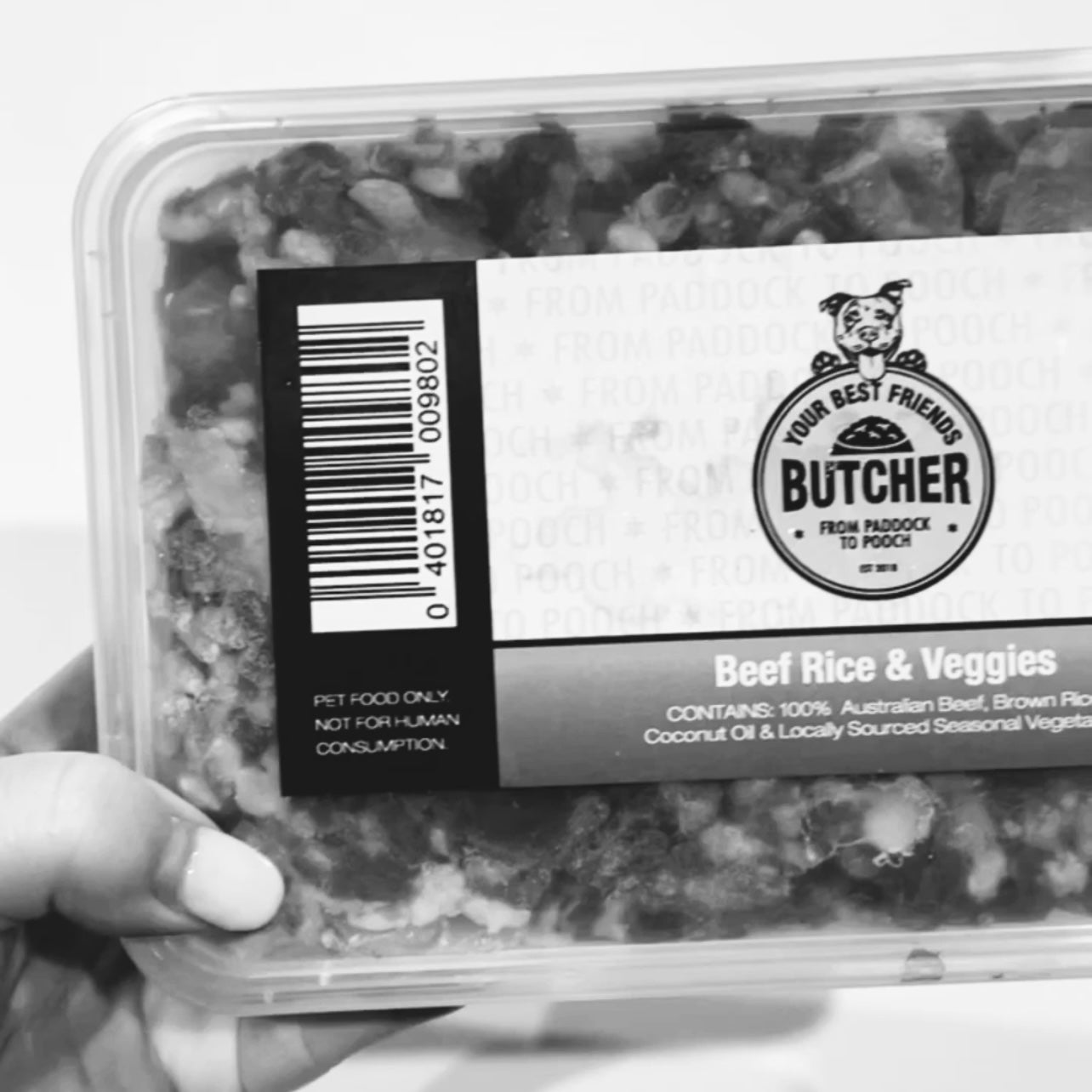 Feeding a cavoodle a raw diet Vs fresh Vs packet food one