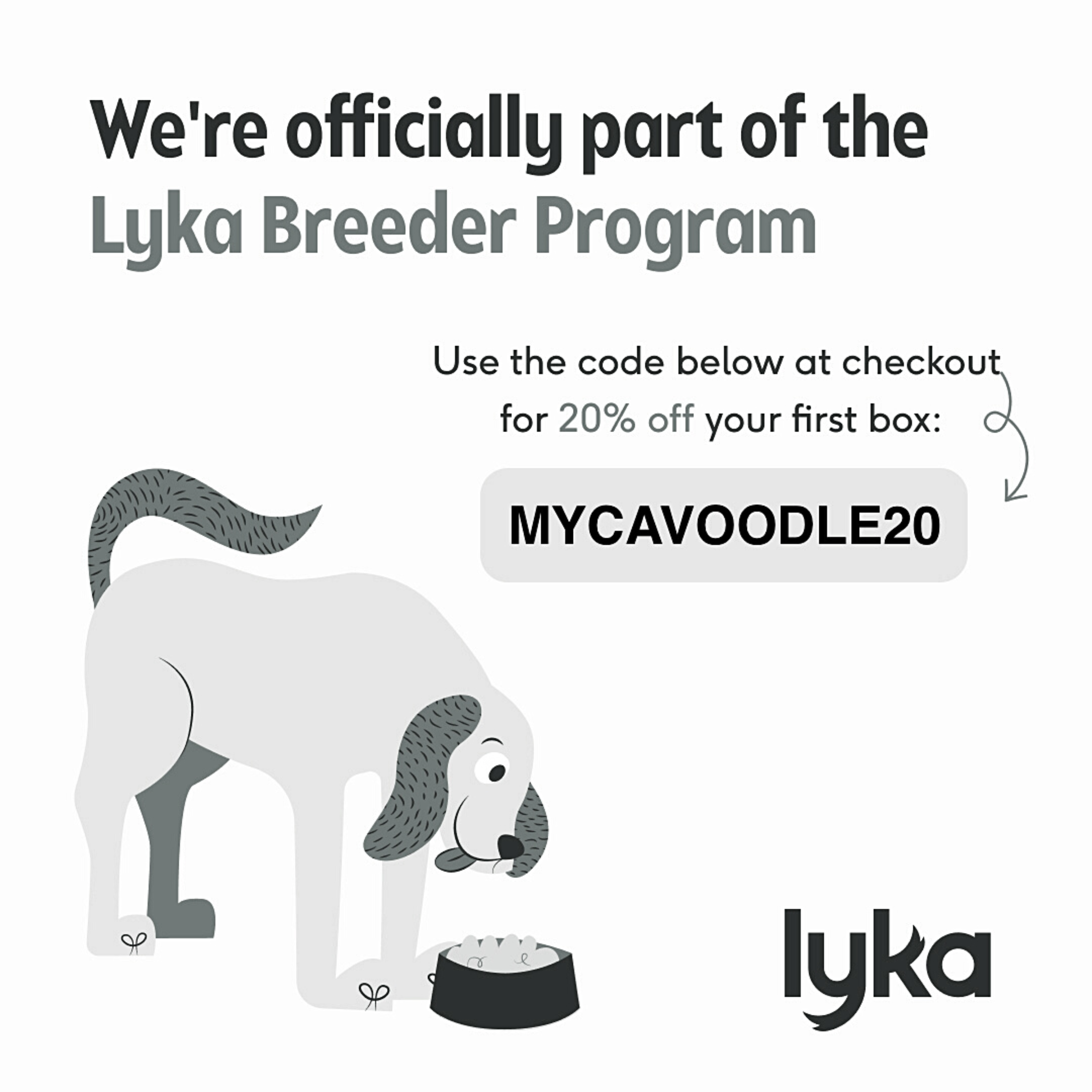 Is Lyka a good option for my cavoodle?