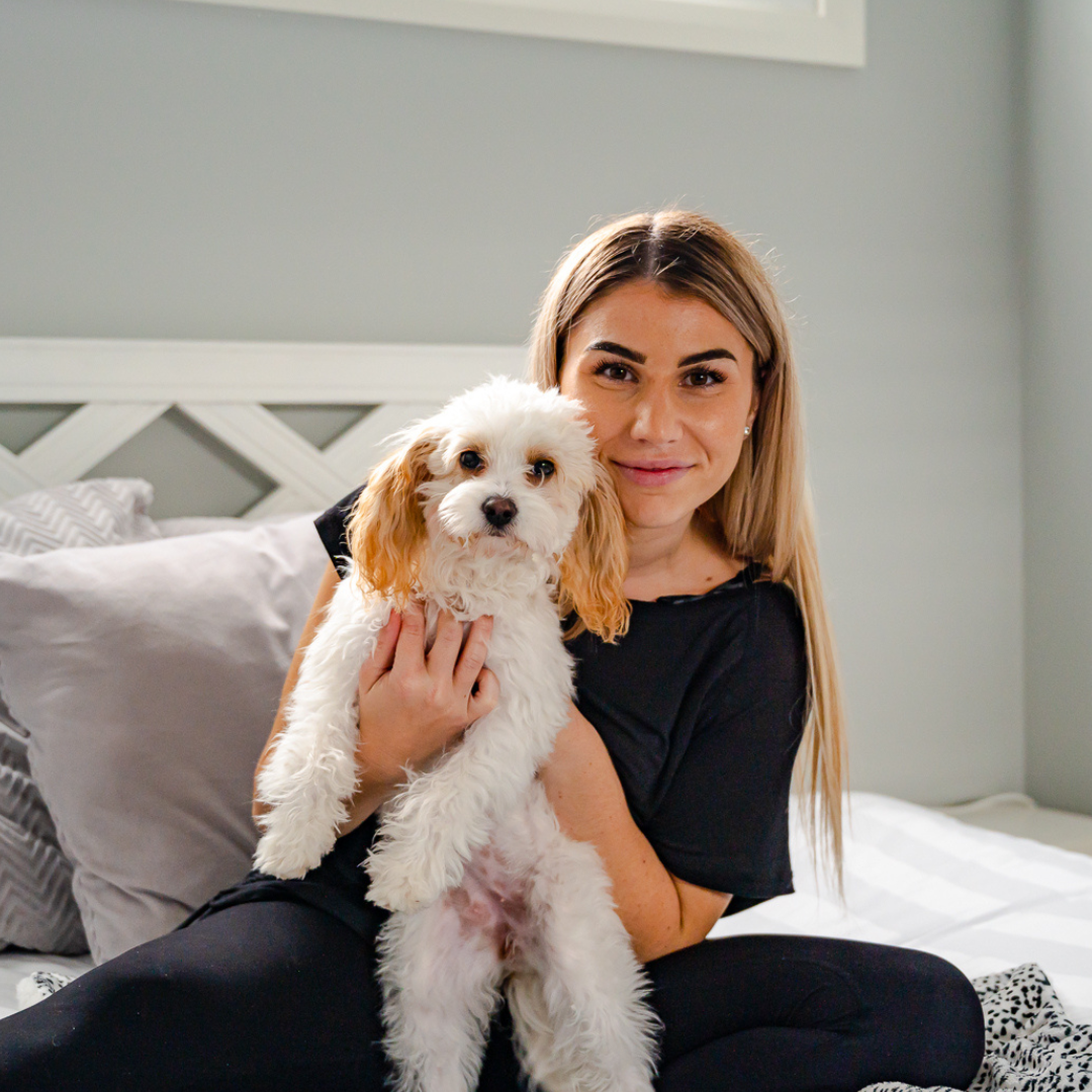 How to know if a cavoodle is the right breed for you?