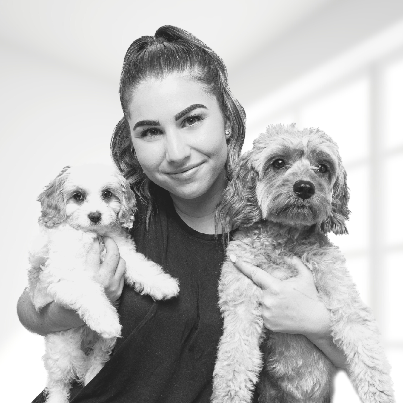 Should I get a second cavoodle? How will my first cavoodle react?