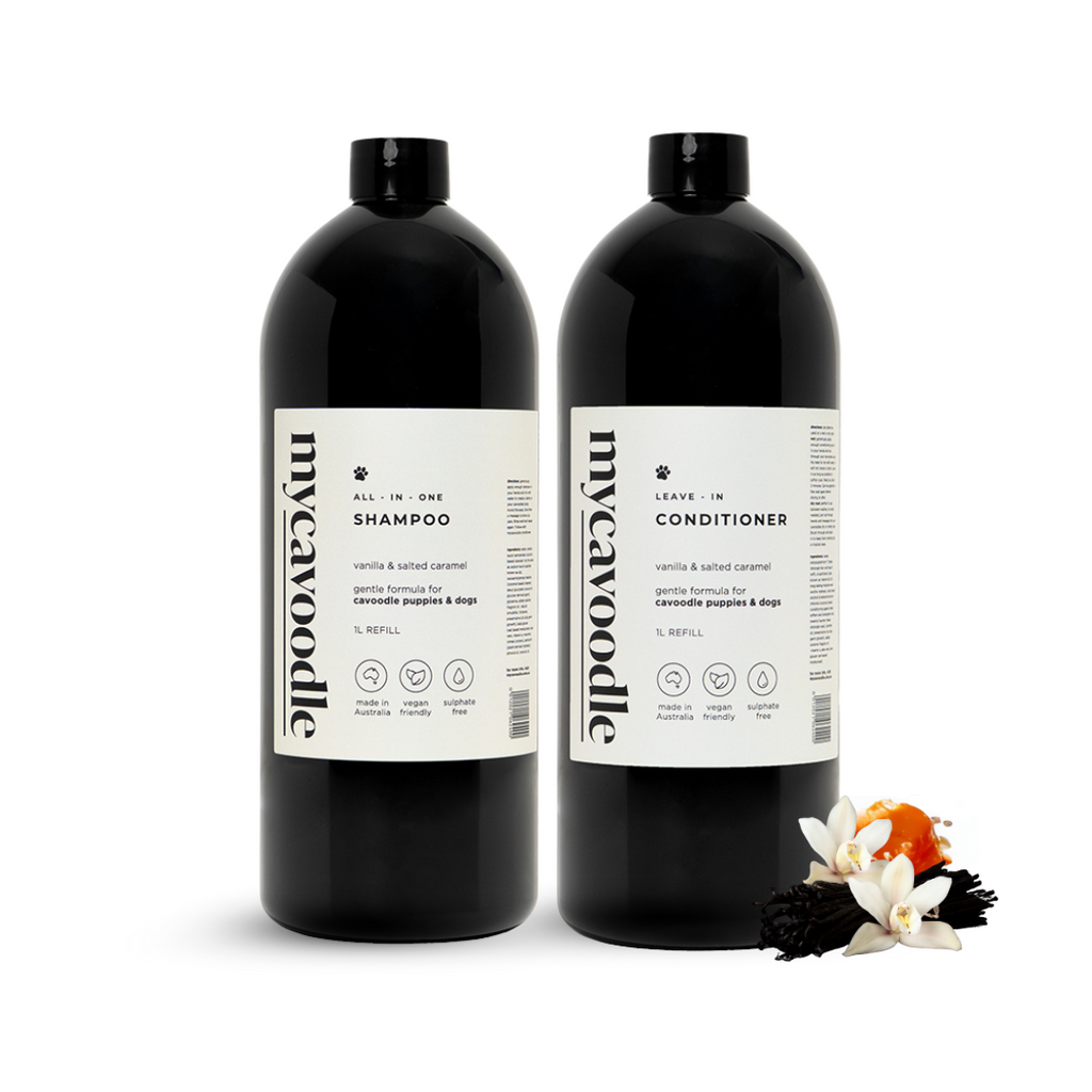 Two black bottles of mycavoodle shampoo and conditioner on a white background with image of vanilla pod seeds and salted caramel.