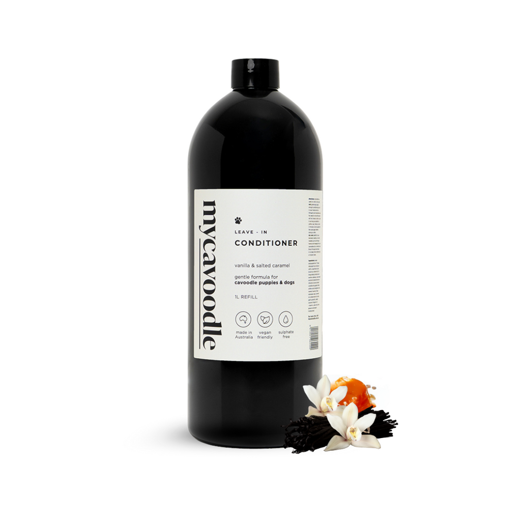 Black bottle of mycavoodle dog wash conditioner with a white label on a white background. Gentle dog wash for sensitive coats