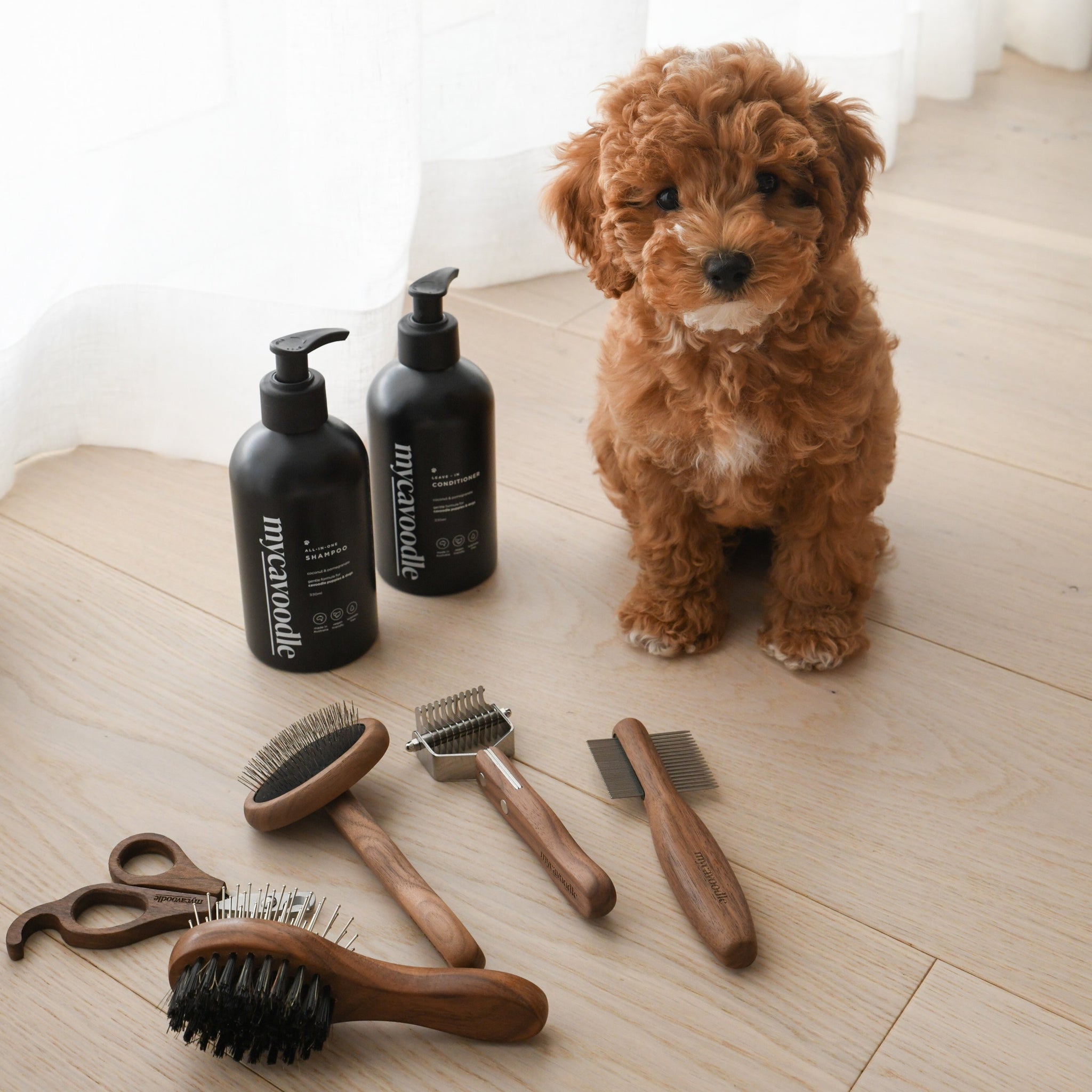 Toy Poodle Hair Brush Best Dog Brush For Poodles Double-Sided