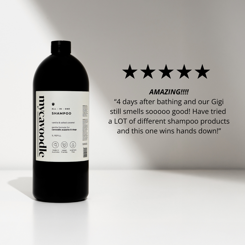 Black bottle of mycavoodle dog wash shampoo with a white label. Gentle dog wash for sensitive coats