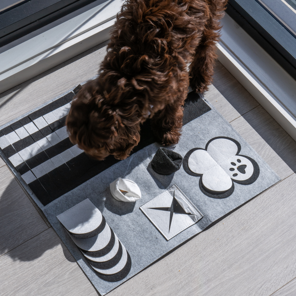 Dog standing on a snuffle mat 
