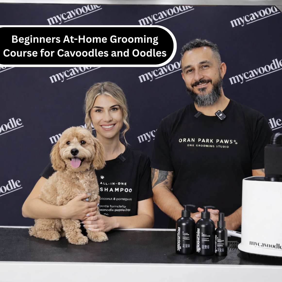 mycavoodle lifestyle