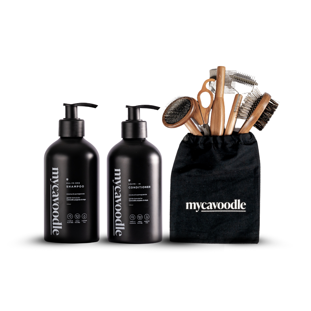 Best brush for clearance cavoodle