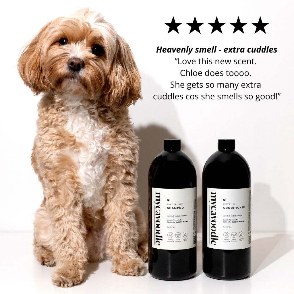 Cavoodle Dog with two bottles of Vanilla and Salted Caramel shampoo and conditioner set, with positive 5 star customer review text.