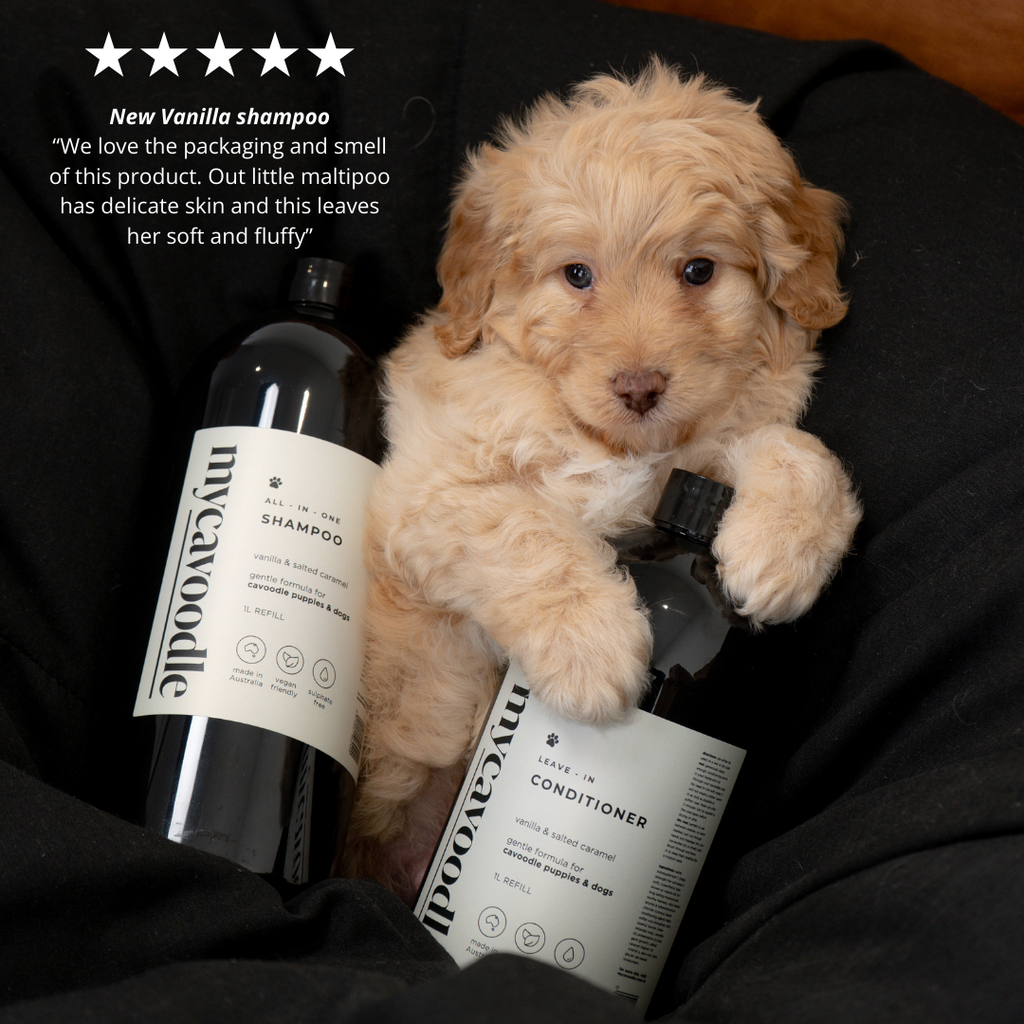 Puppy with 'mycavoodle' Vanilla and salted caramel dog shampoo and conditioner bottles, surrounded by five-star review text.