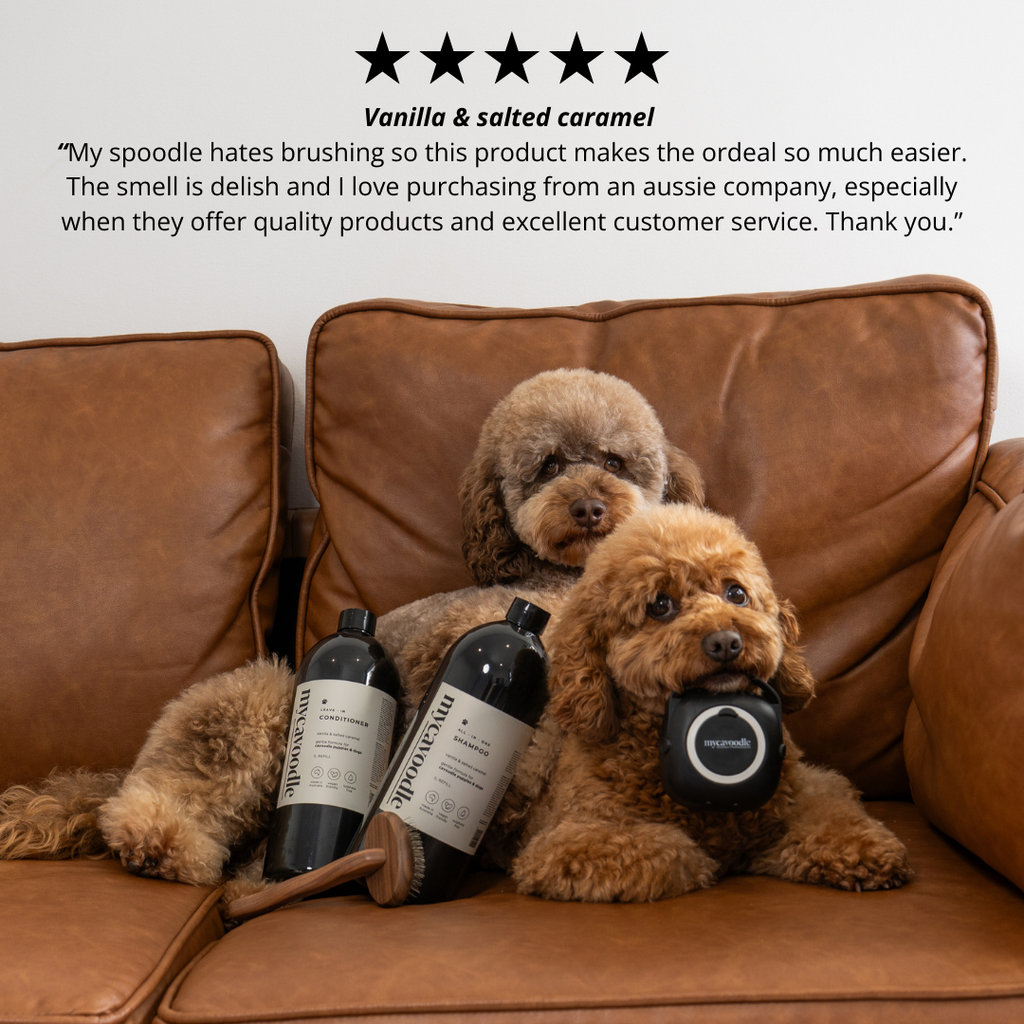 Two dogs sitting on a brown leather couch with dog shampoo and conditioner and brush products, with a five-star rating text above.