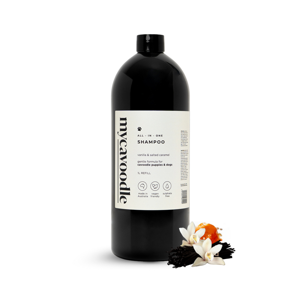Black bottle of mycavoodle dog wash shampoo with a white label on a white background. Gentle dog wash for sensitive coats